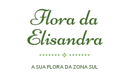 Logo Flora da Elisandra